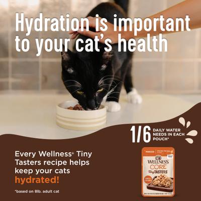 CORE Tiny Tasters Adult Seafood & Poultry Variety Pack Grain-Free Wet Cat Food, 1.75-oz pouch, 12 count