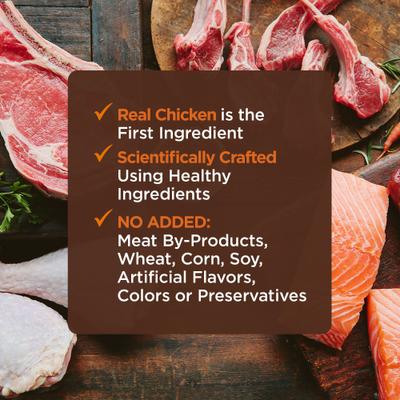 CORE Tiny Tasters Kitten Chicken Grain-Free Variety Pack Wet Cat Food, 1.75-oz pouch, case of 12