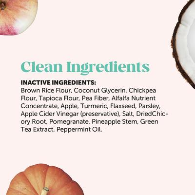 Dental Health Fresh Sticks Mint Plaque Off Dental & Teeth Cleaning Dog Dental Chews, 16 count