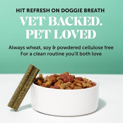 Dental Health Fresh Sticks Mint Plaque Off Dental & Teeth Cleaning Dog Dental Chews, 16 count