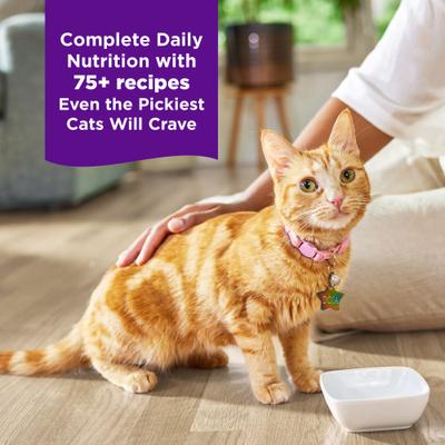 Comida húmeda para gatos Complete Health Purrfect Duos con cortes de res y pollo sin cereales en salsa, 2.64 oz (paquete de 12)