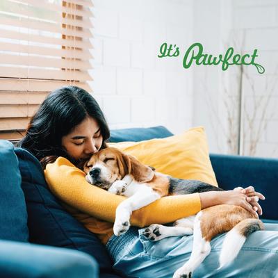 All Natural Grain-free Yogurt with Strawberry Prebiotic Probiotic Freeze-dried Dog Treat, 1.34-oz canister