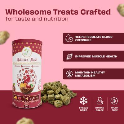 Nature's Feast Chicken with Pumpkin & Apple Grain-Free All Natural Freeze-Dried, Dog Training Treat, 1.76-oz canister