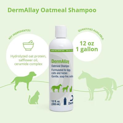 Oatmeal Shampoo for Dogs, Cats & Horses, 12-fl oz bottle