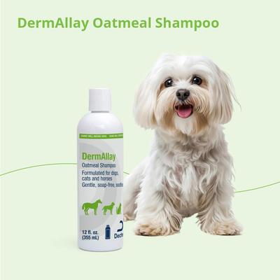 Oatmeal Shampoo for Dogs, Cats & Horses, 12-fl oz bottle