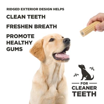 Pumpkin Dental Stick Dog Chew Treat, X-Large, 3.7-oz bag