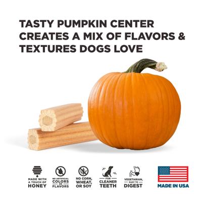 Pumpkin Dental Stick Dog Chew Treat, Large, 7-oz bag