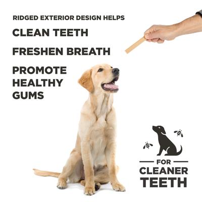 Pumpkin Dental Stick Dog Chew Treat, Large, 7-oz bag