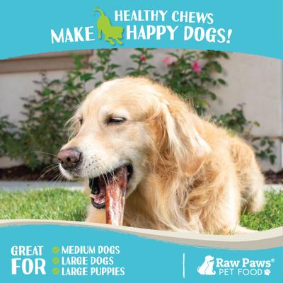 6-inch Jumbo Bully Sticks Dog Treats, 5 count