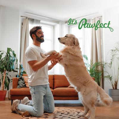 Nature's Feast Goat Meat Grain-Free All Natural Freeze-Dried Dog Training Treat, 1.76-oz canister