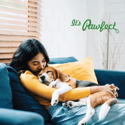 All Natural Grain-free Yogurt with Pineapple Prebiotic Probiotic Freeze-dried Dog Treat, 1.34-oz canister