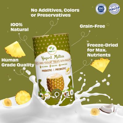 All Natural Grain-free Yogurt with Pineapple Prebiotic Probiotic Freeze-dried Dog Treat, 1.34-oz canister
