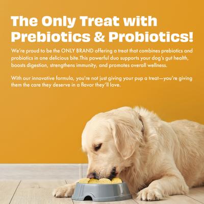 All Natural Grain-free Yogurt with Pumpkin Prebiotic Probiotic Freeze-dried Dog Treat, 1.34-oz canister