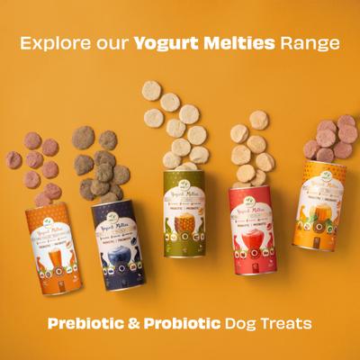 All Natural Grain-free Yogurt with Pumpkin Prebiotic Probiotic Freeze-dried Dog Treat, 1.34-oz canister