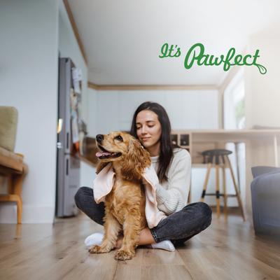 Galletas de queso totalmente naturales con zanahoria, espinacas y huevos sin cereales. Premios crujientes para el entrenamiento de perros, lata de 3.53 oz.