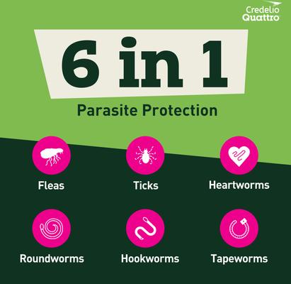 Chewable Tablets for Dogs, 50.1-100 lbs, 6 Chewables (6-mos. supply)