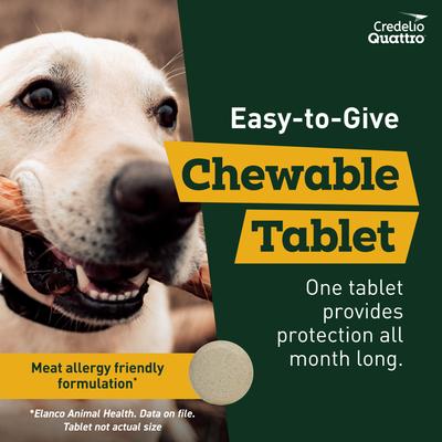 Chewable Tablets for Dogs, 50.1-100 lbs, 6 Chewables (6-mos. supply)