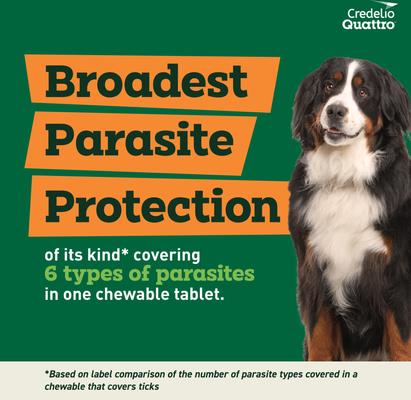 Chewable Tablets for Dogs, 50.1-100 lbs, 6 Chewables (6-mos. supply)