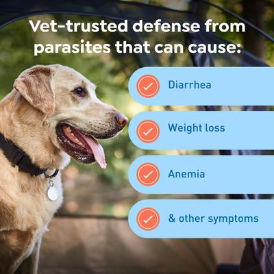 Chew for Dogs, 50.1-100 lbs, (Blue Box), 6 Chews (6-mos. supply)