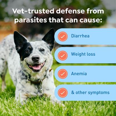 Chew for Dogs, 25.1-50 lbs, (Yellow Box), 12 Chews (12-mos. supply)