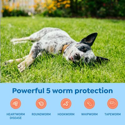 Chew for Dogs, 25.1-50 lbs, (Yellow Box), 12 Chews (12-mos. supply)