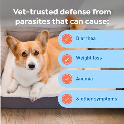 Chew for Dogs, 8.1-25 lbs, (Green Box), 6 Chews (6-mos. supply)