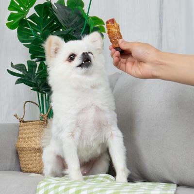 Triple Flavor Chicken Wrapped Duck & Beef Rolls 3-inch Rawhide-Free Dog Treats, 10 count