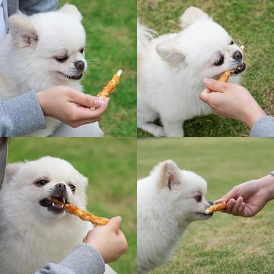 Rawhide Twist Chicken Hide Sticks 5-inch Dog Treats, 40 count