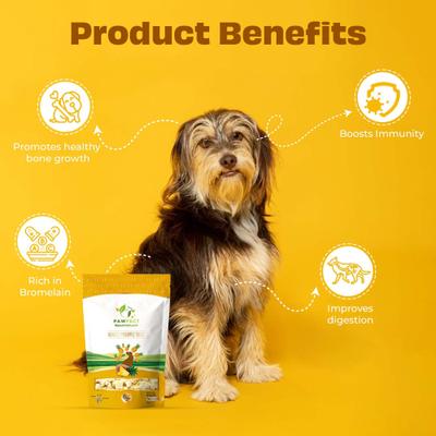 Nature's Munch Freeze-Dried Pineapple All Natural Vegan Dog Training Treat, 1.41-oz bag