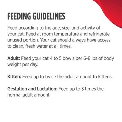 Chicken & Salmon Recipe Grain-Free Pate Wet Cat & Kitten Food, 2.64-oz cup, case of 10 twinpack