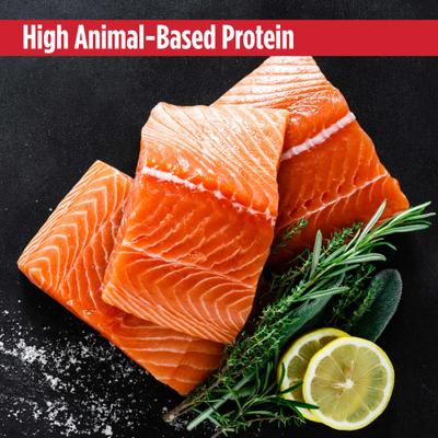 Chicken & Salmon Recipe Grain-Free Pate Wet Cat & Kitten Food, 2.64-oz cup, case of 10 twinpack