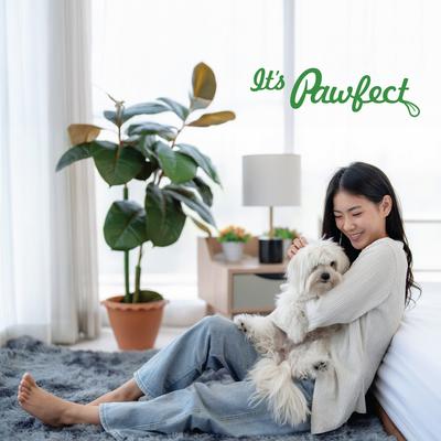 Nature's Feast Chicken Liver Grain-Free All Natural Freeze-Dried Dog Training Treat, 7-oz canister