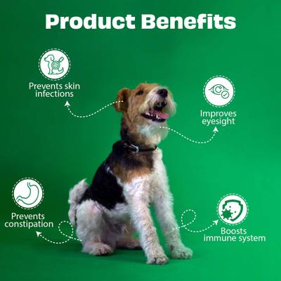 Nature's Munch Freeze-Dried Mango All Natural Vegan Dog Training Treat, 1.41-oz bag