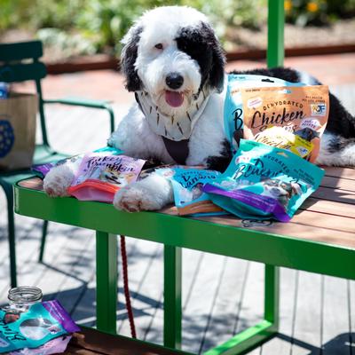 Premios para perros de cecina de pato y arándanos, bolsa de 5 oz
