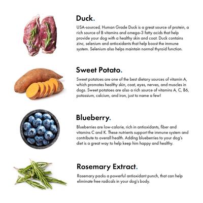 Duck & Blueberry Jerky Dog Treats, 5-oz bag