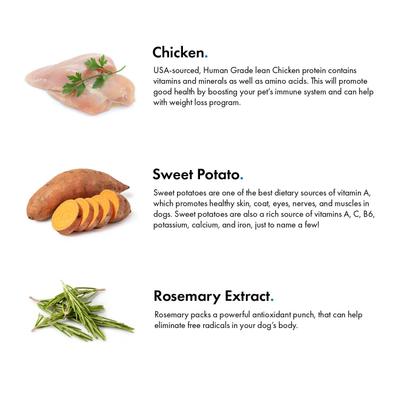 Chicken & Sweet Potato Jerky Dog Treats, 12-oz bag