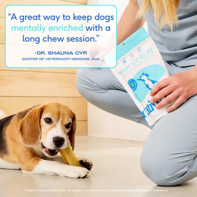 Yak Dental Chews Himalayan Cheese Dog Treats, 5 count