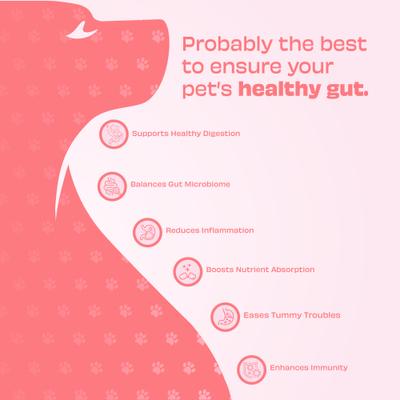 Wild Vigor All Natural Grain-Free Probiotic Supplement Chews for Dogs, 60 count