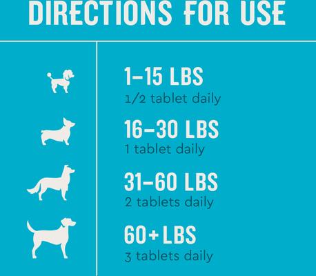 Hip & Joint Health Chicken Flavored Chewable Tablet Supplement for Dogs, 60 count