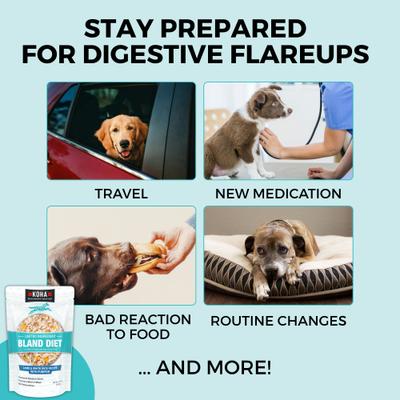 Alimento húmedo para perros con cordero y arroz blanco, con ingredientes limitados, para estómagos sensibles, bolsa de 12.5 oz, caja de 6