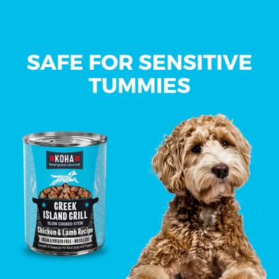 Greek Island Grill Slow Cooked Stew High Protein Wet Dog Food, 12.7-oz can, case of 12