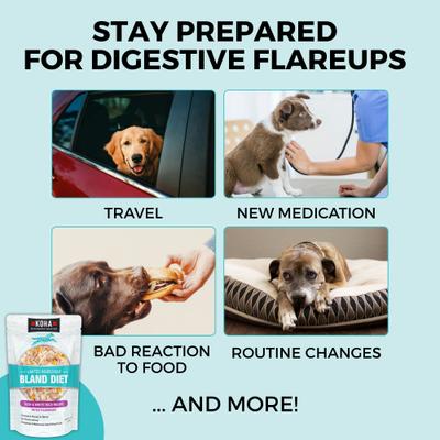 Limited Ingredient Bland Diet Sensitive Stomach Beef & White Rice Wet Dog Food, 12.5-oz pouch, case of 6