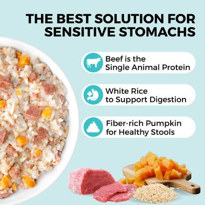 Limited Ingredient Bland Diet Sensitive Stomach Beef & White Rice Wet Dog Food, 12.5-oz pouch, case of 6