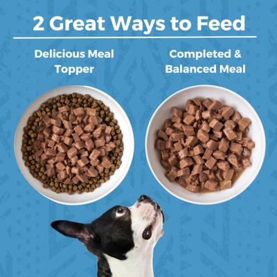 Alimento húmedo para perros Lamb Stew de alto contenido proteico con ingredientes limitados, lata de 12.7 oz, caja de 12