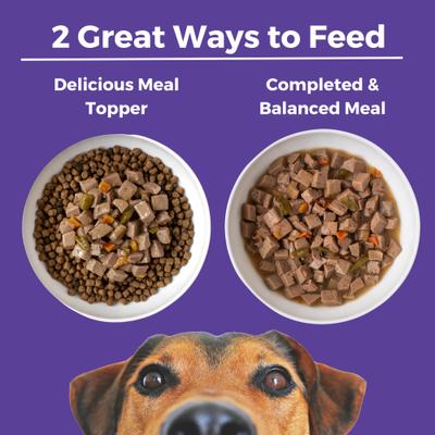 Memphis BBQ Slow Cooked Stew High Protein Wet Dog Food, 12.7-oz can, case of 12