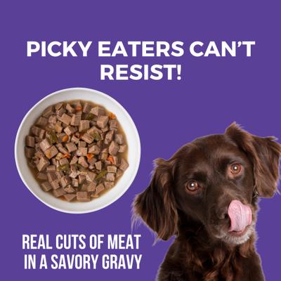 Memphis BBQ Slow Cooked Stew High Protein Wet Dog Food, 12.7-oz can, case of 12