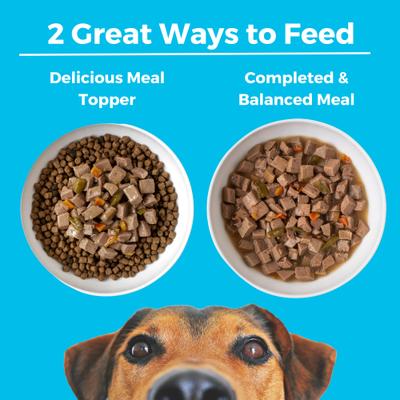 Greek Island Grill Slow Cooked Stew High Protein Wet Dog Food, 12.7-oz can, case of 12