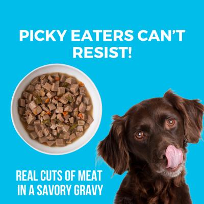 Greek Island Grill Slow Cooked Stew High Protein Wet Dog Food, 12.7-oz can, case of 12