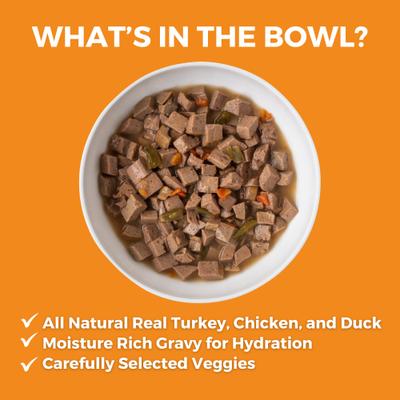 Big Easy Feast Slow Cooked Stew High Protein Wet Dog Food, 12.7-oz can, case of 12