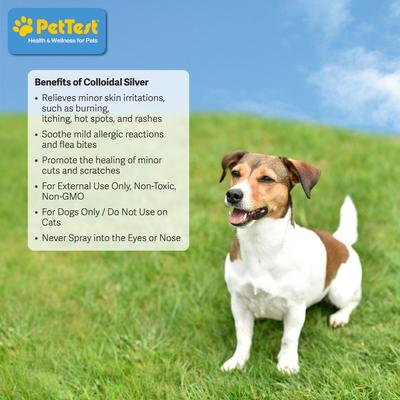 Colloidal Silver Dog Spray Treatment, 8-fl oz bottle